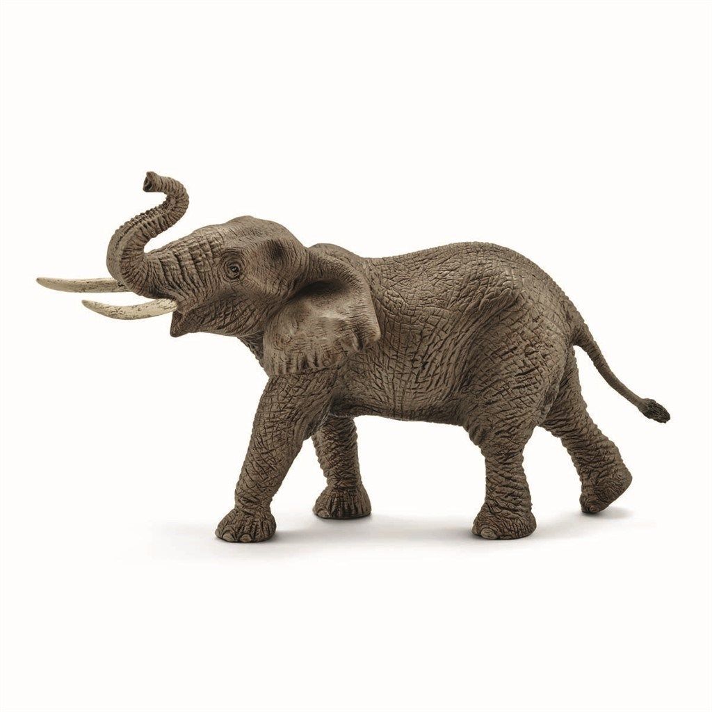 Schleich Wild Life - Afrikansk Hanelefant - Schleich