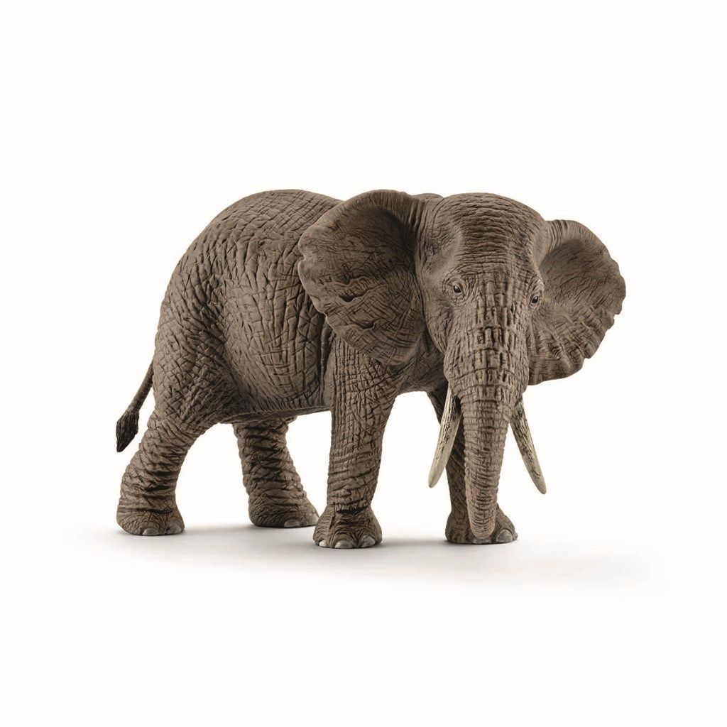 Schleich Wild Life - Afrikansk Hunelefant - Schleich