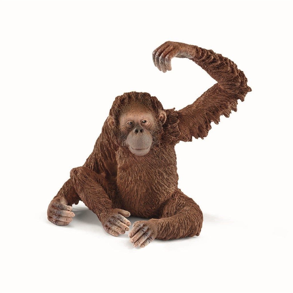 Schleich Wild Life - Orangutan, hun - Schleich